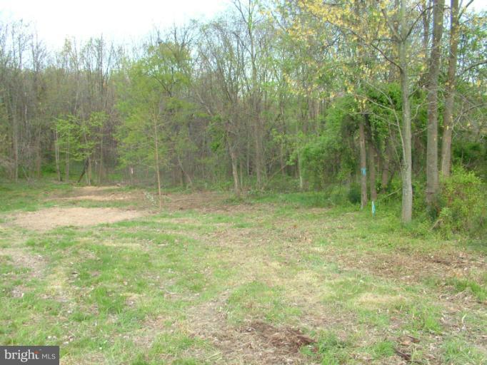 4323 Araby Church Road Frederick, MD 21704 - Photo 5 of 9 Northern field