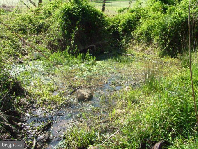 4323 Araby Church Road Frederick, MD 21704 - Photo 6 of 9 Spring on property, turns into stream
