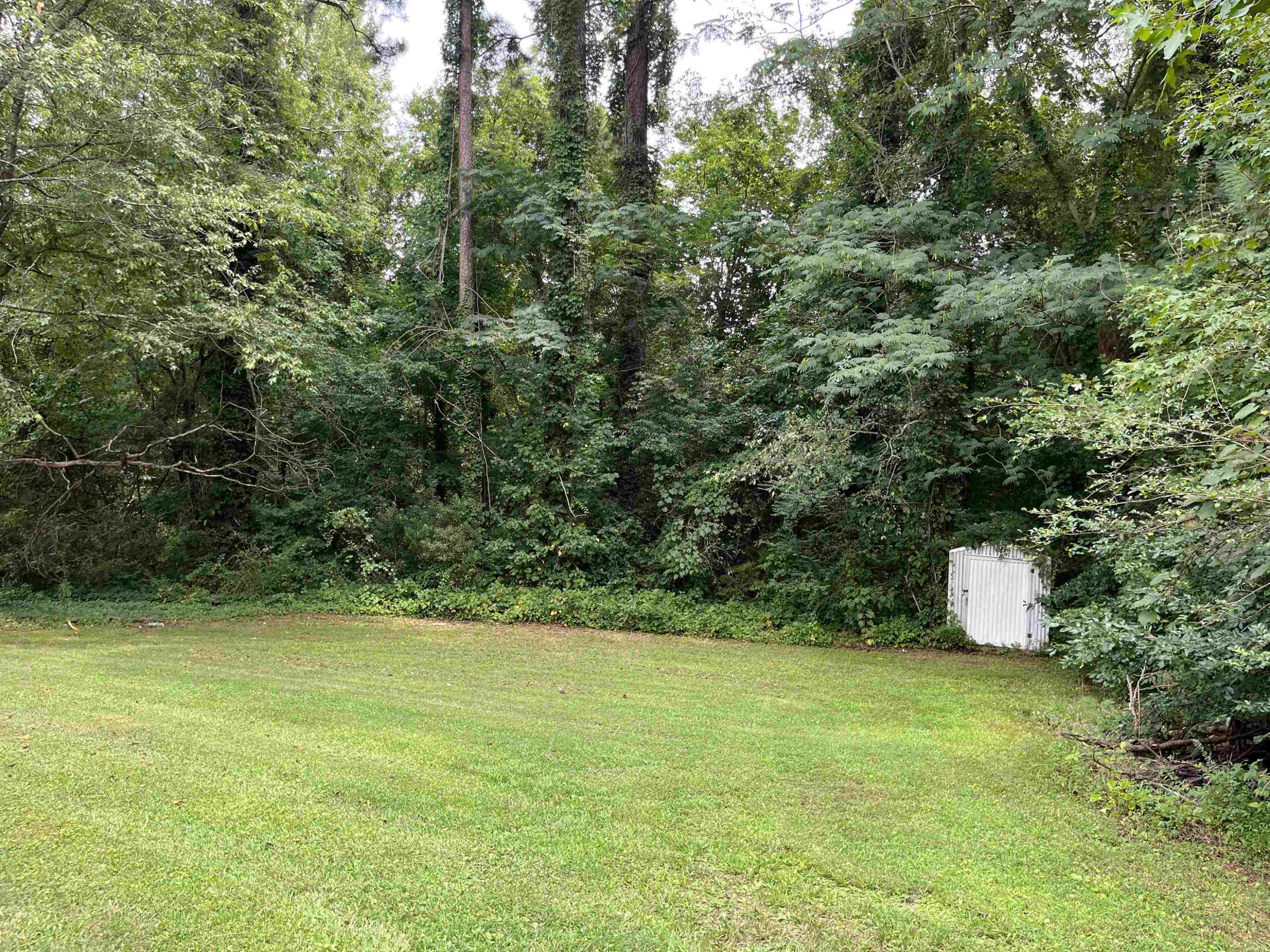 106 Rooker Street Norlina, NC 27563 - Photo 16 of 16 Photo 16