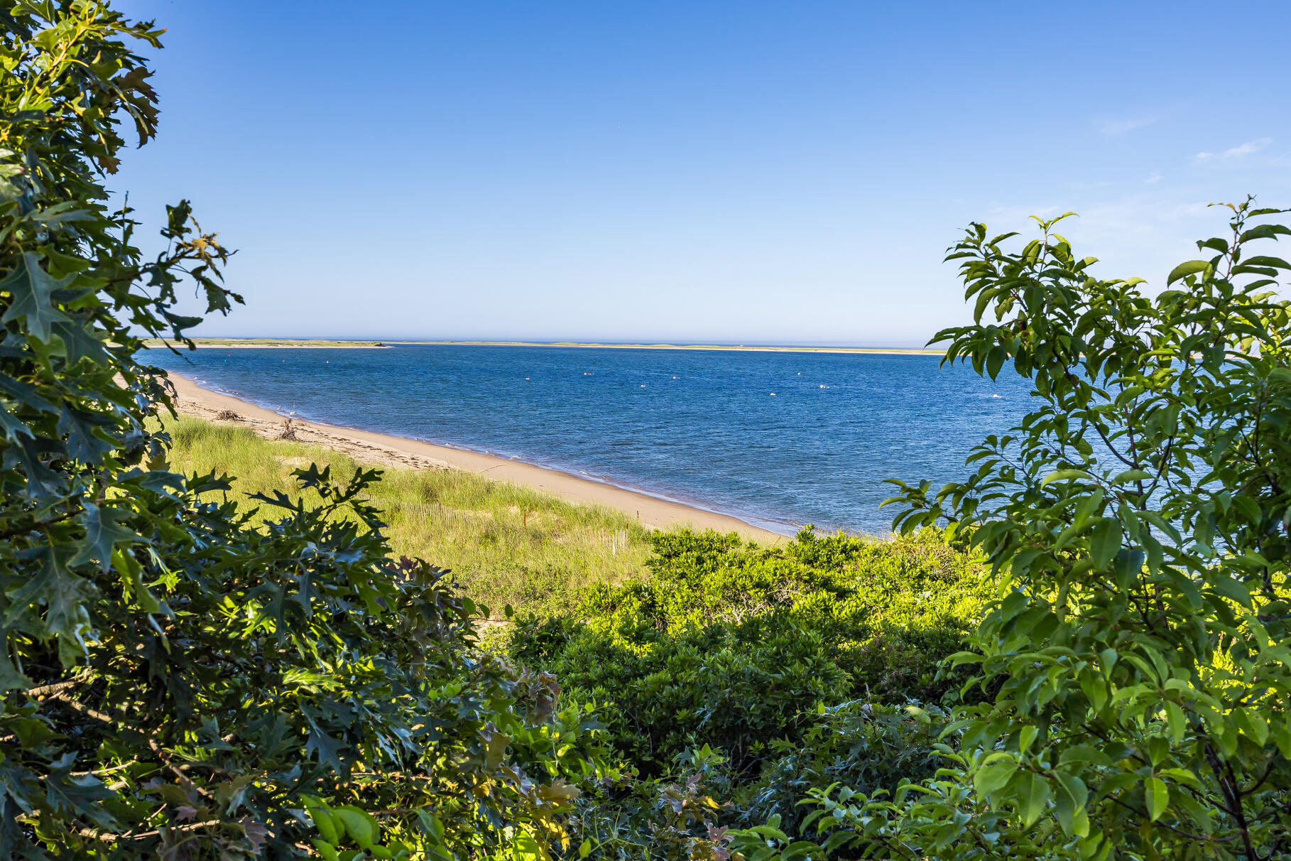 80 Tisquantum Road Chatham, MA 02633 - Photo 69 of 72 PF0A4408