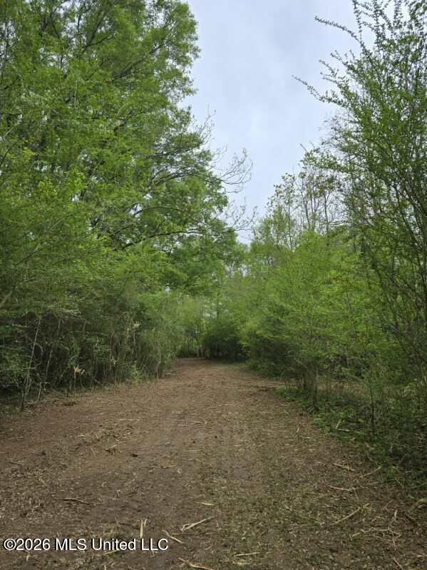 1844 Volley Campbell Road Terry, MS 39170 - Photo 72 of 81 image5 (11)