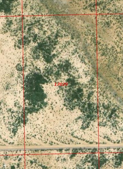0 Corzo Avenue Alpine, TX 79830 - Photo 2 of 3