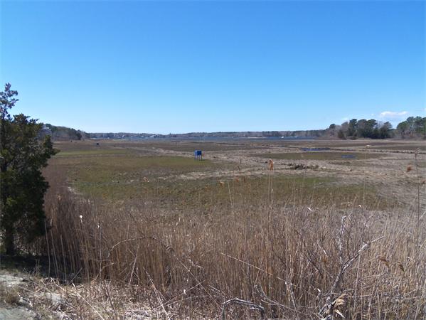 31 Monomoscoy Road Mashpee, MA 02649 - Photo 21 of 21