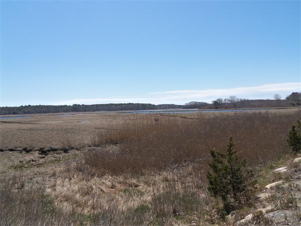 31 Monomoscoy Road Mashpee, MA 02649 - Photo 3 of 21