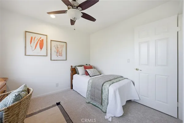 a view of a backyard with large trees