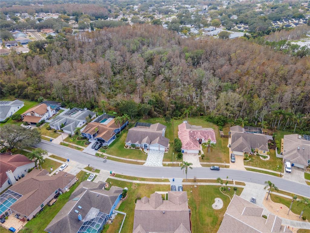 9722 Hermosillo Drive New Port Richey, FL 34655 - Photo 50 of 58 Gallery Image 50