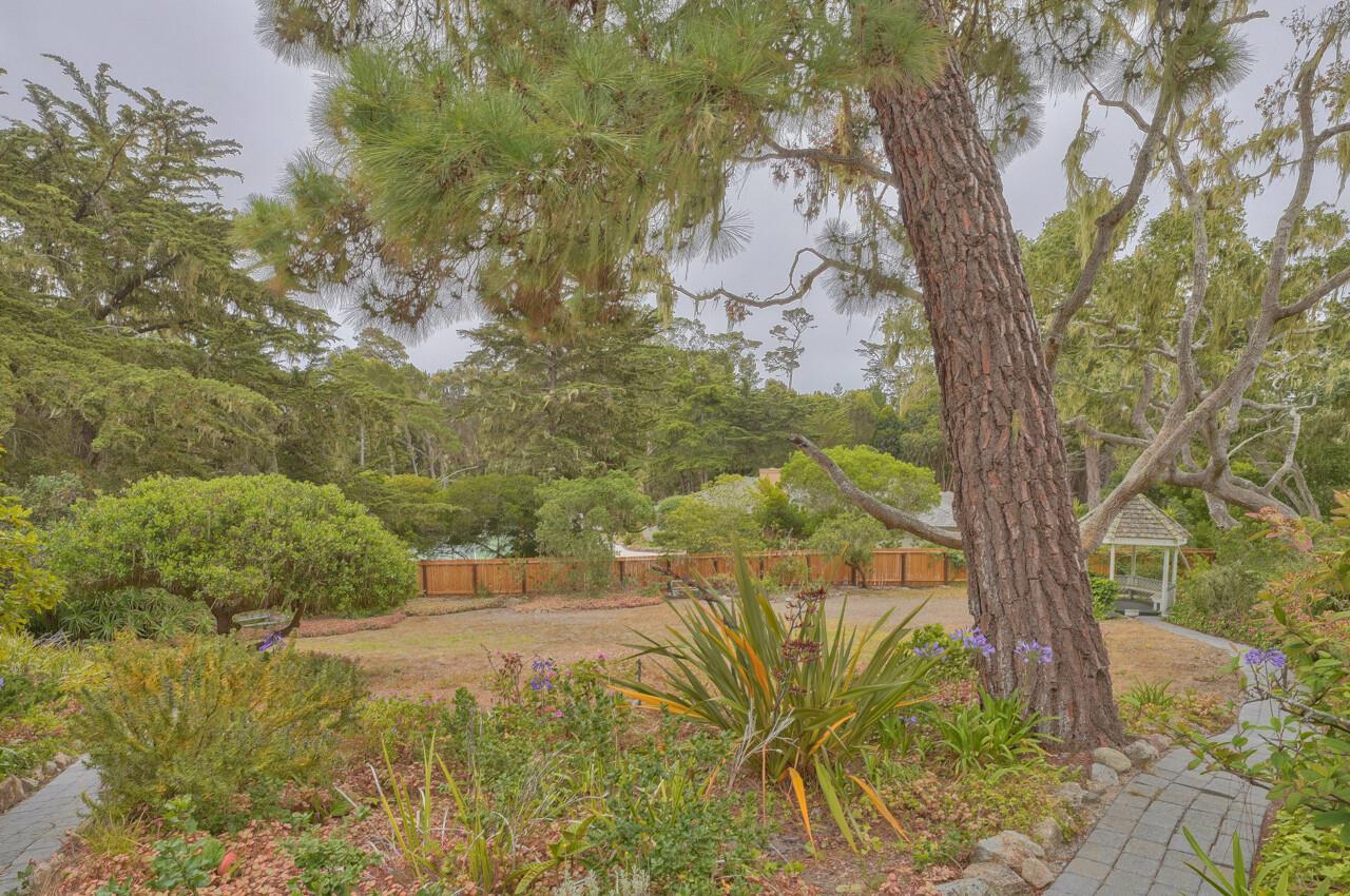 3245 Cabrillo Road Pebble Beach, CA 93953 - Photo 54 of 59 a view of a yard with plants and large trees