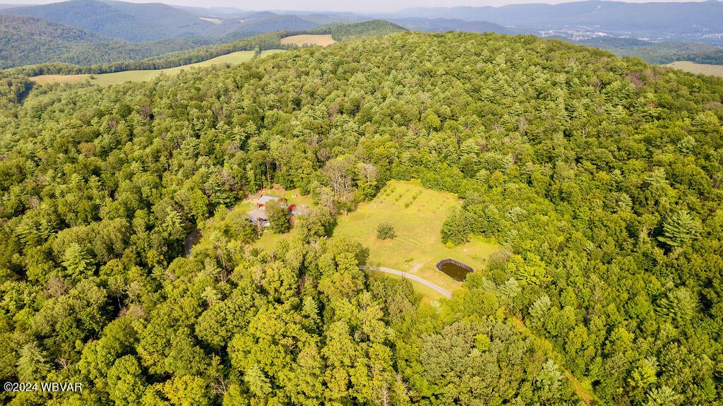 183 Selfe Road Mill Hall, PA 17751 - Photo 28 of 65 1000046911