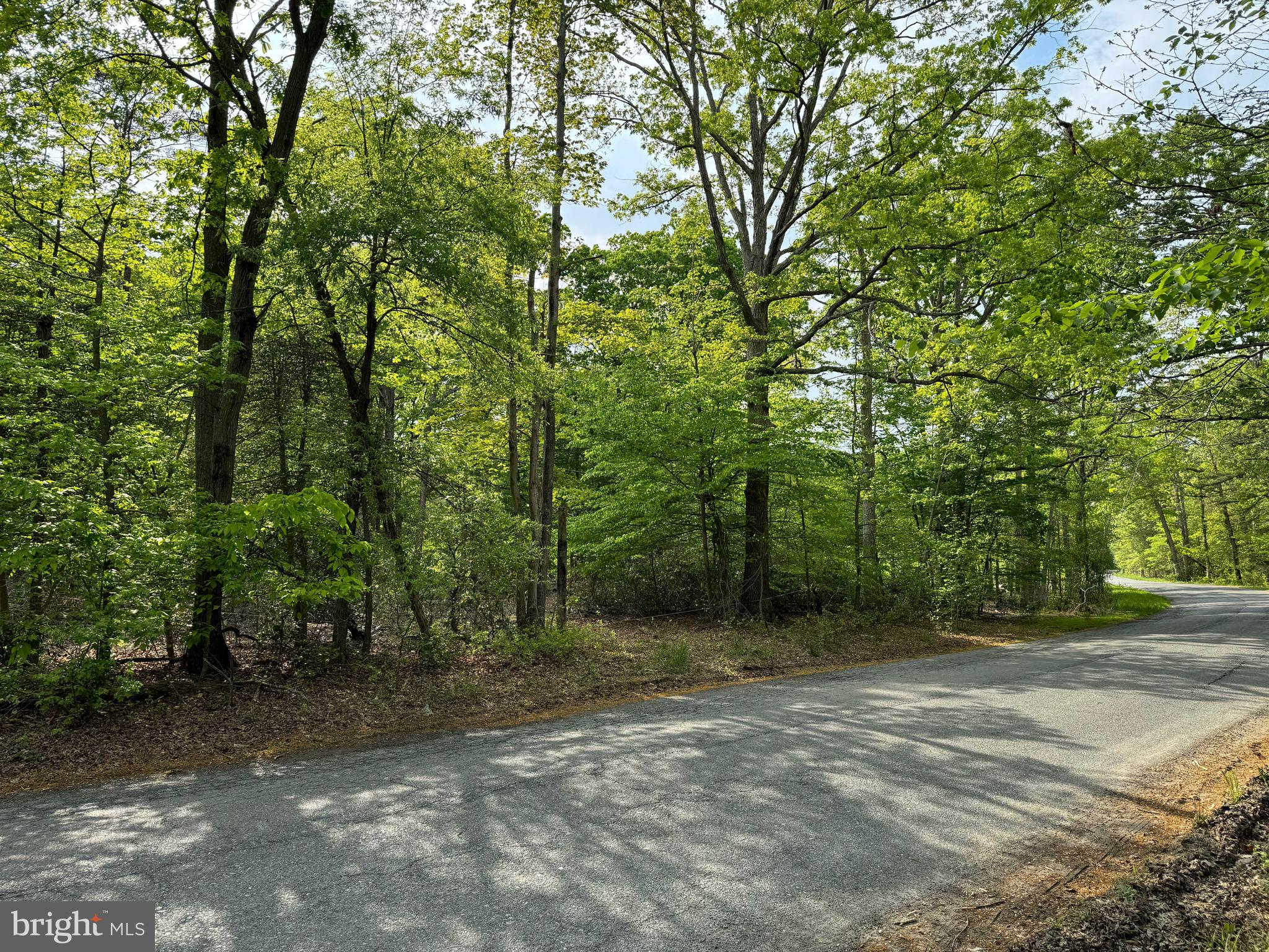 a view of a field with trees in front of it