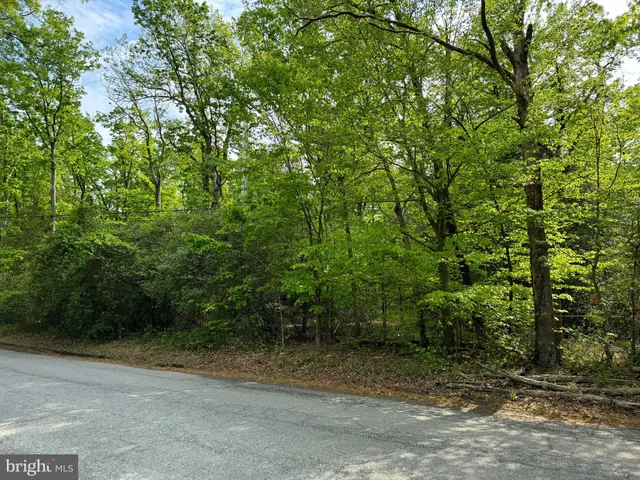 a view of a yard with plants and trees