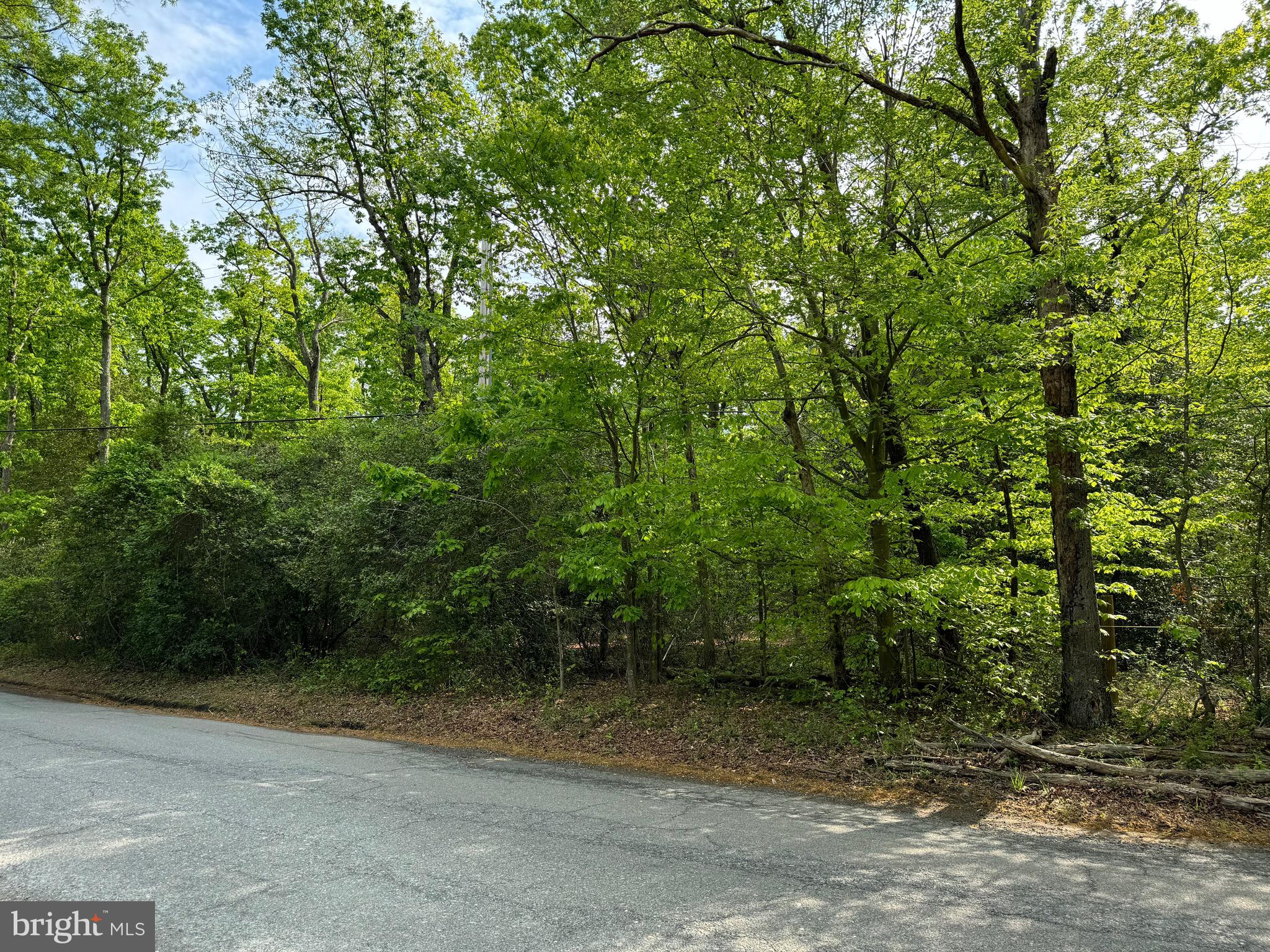Old Marshall Hall Road Accokeek, MD 20607 - Photo 2 of 6 a view of a yard with plants and trees