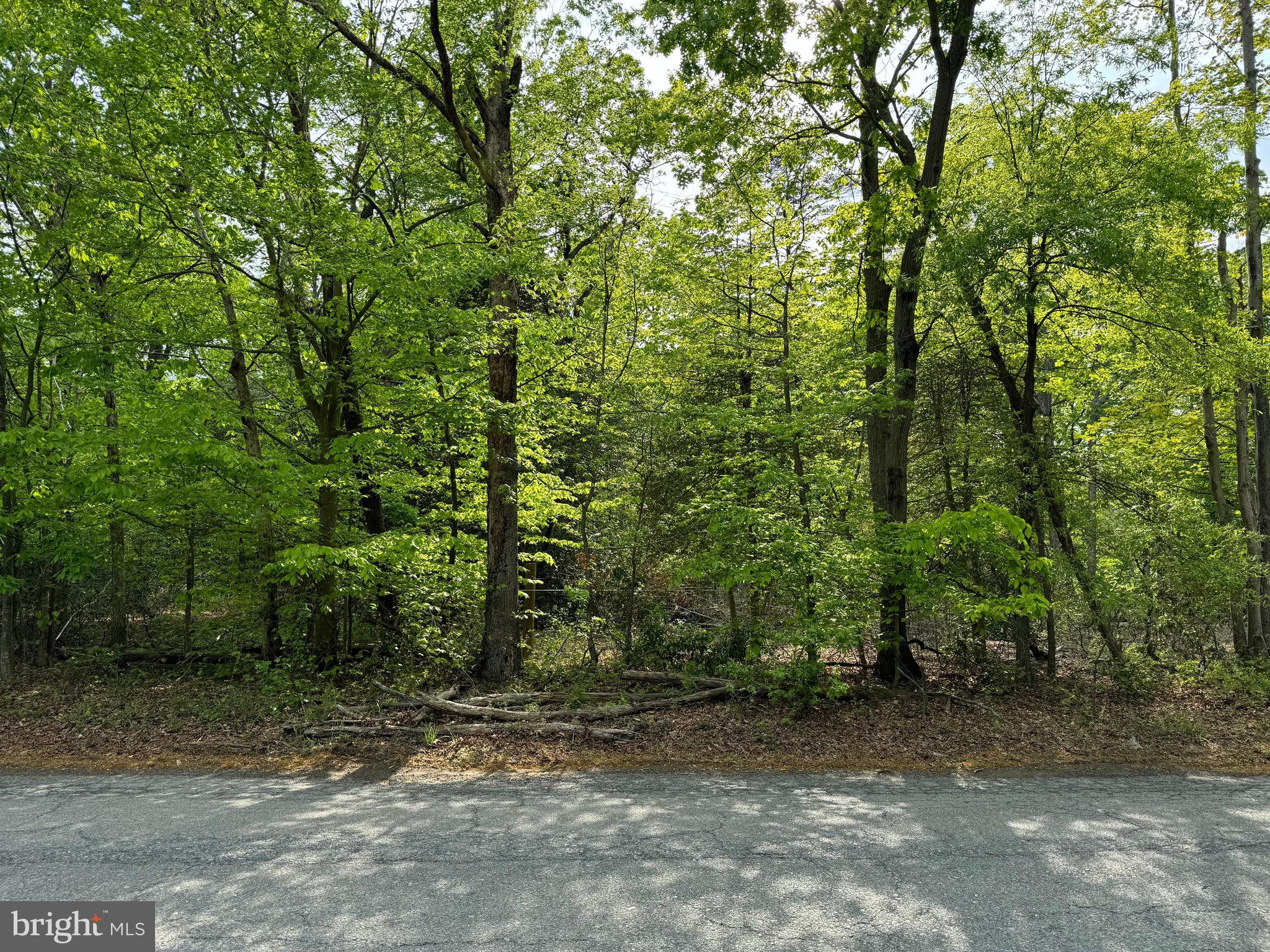 Old Marshall Hall Road Accokeek, MD 20607 - Photo 3 of 6 a view of a yard with plants and trees