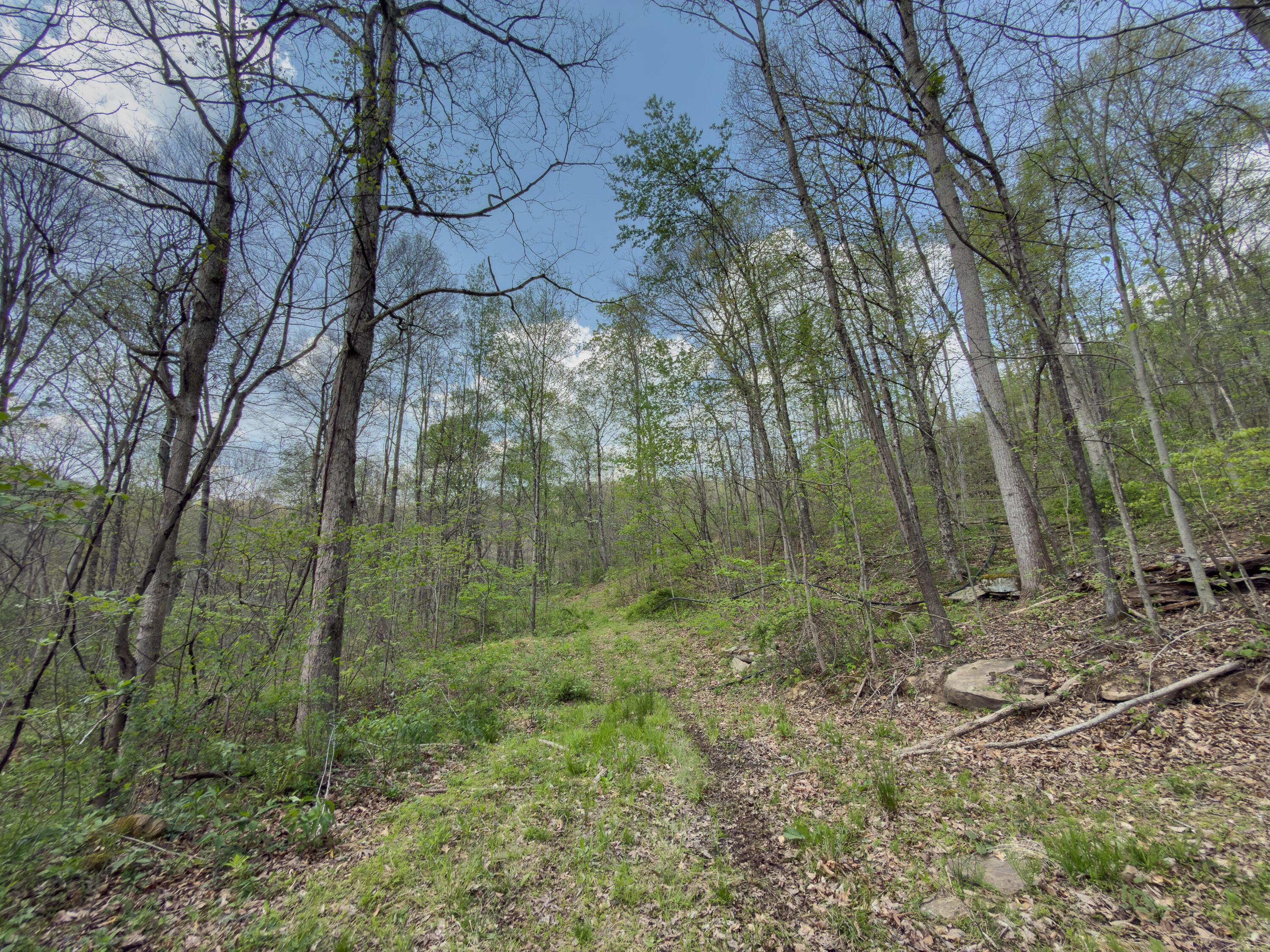 0 Beardmore Road Wingett Run, OH 45789 - Photo 38 of 43 beardmore rd-38