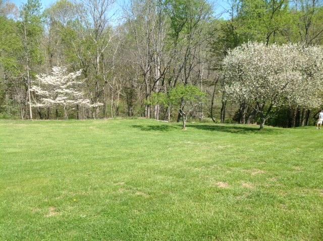219 Longhill Road Goode, VA 24556 - Photo 15 of 15 a grassy field with trees in the background