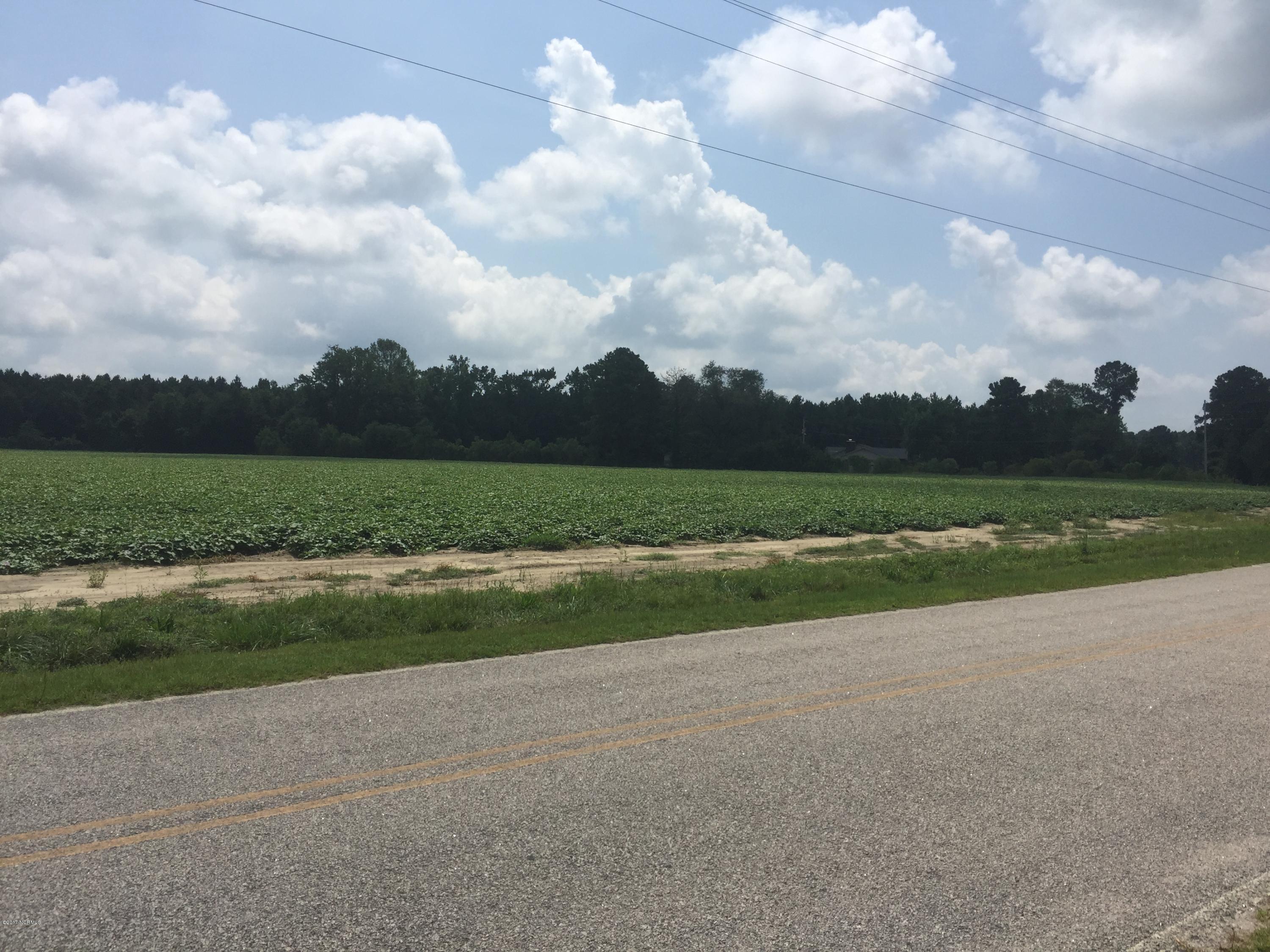 Lot 2 Renfrow Road Kenly, NC 27542 - Photo 1 of 3 IMG_3976