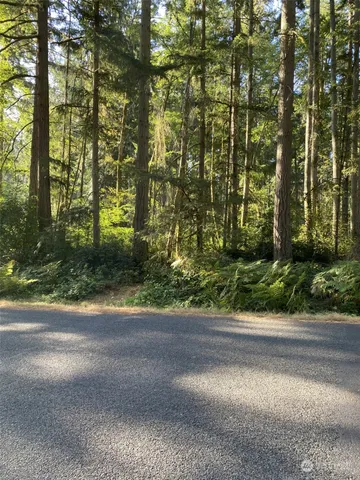 a view of a yard with plants