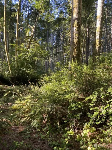 $17,000 | 11616 Country Club Drive, Anderson Island, WA 98303