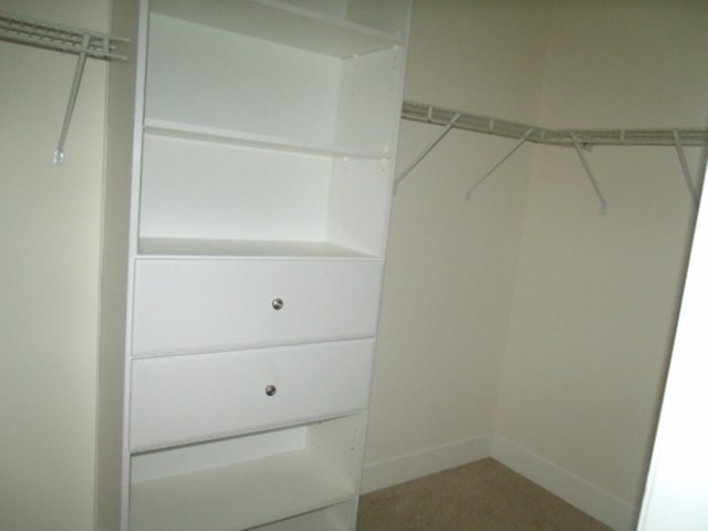 1305 Roy Gay Road Matthews, GA 30818 - Photo 14 of 19 Owner Closet