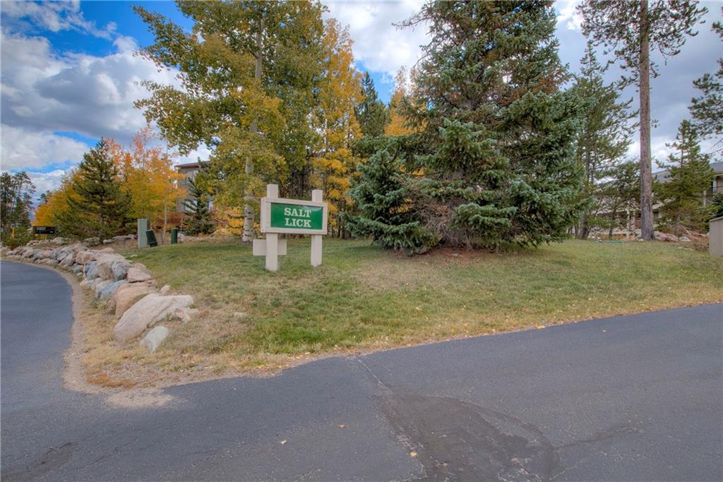 4811 Ryan Gulch Road, Unit 4811 Silverthorne, CO 80498 - Photo 31 of 35 a view of a yard with a tree