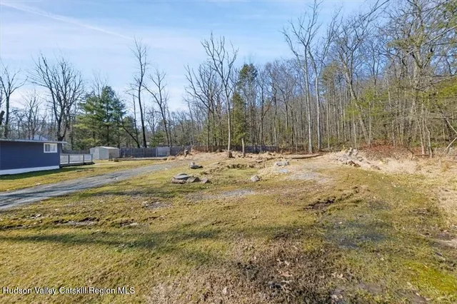 a view of road with large trees