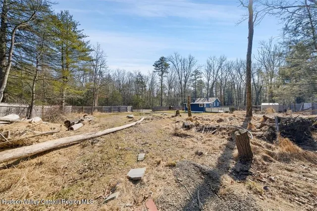 a view of a forest with trees