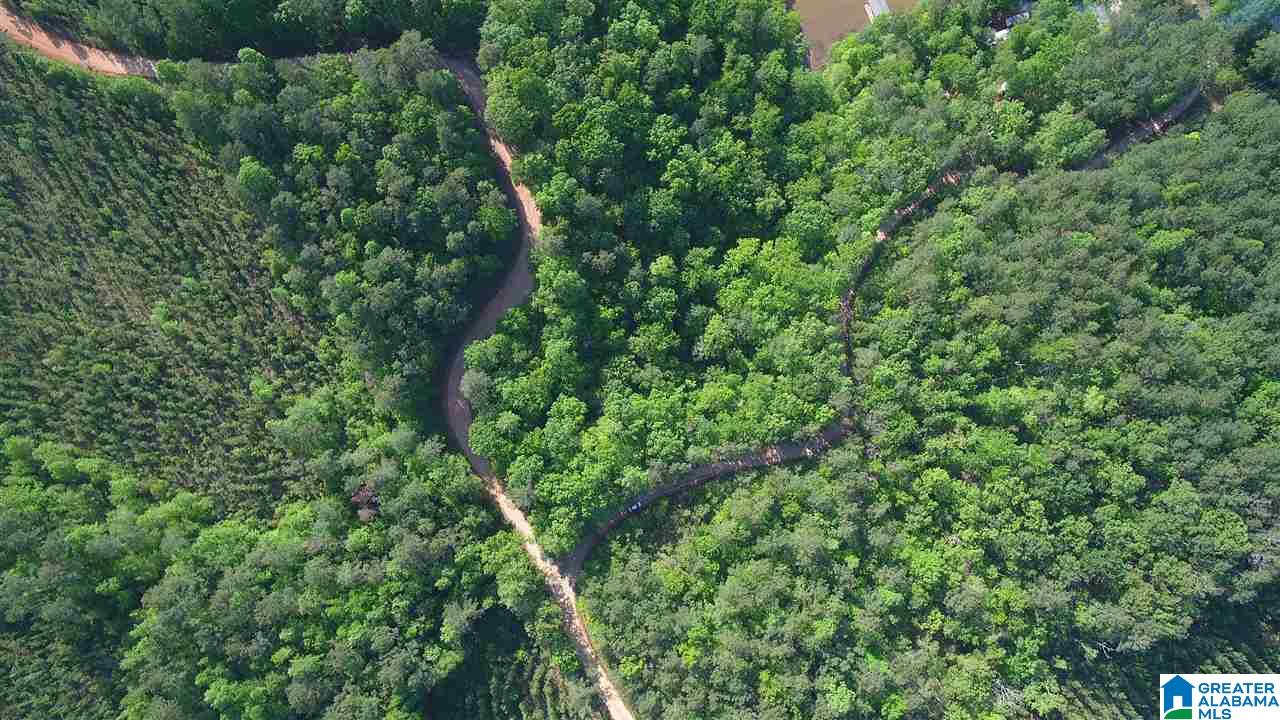 9901 County Road, Unit 5 35 Wedowee, AL 36278 - Photo 2 of 5