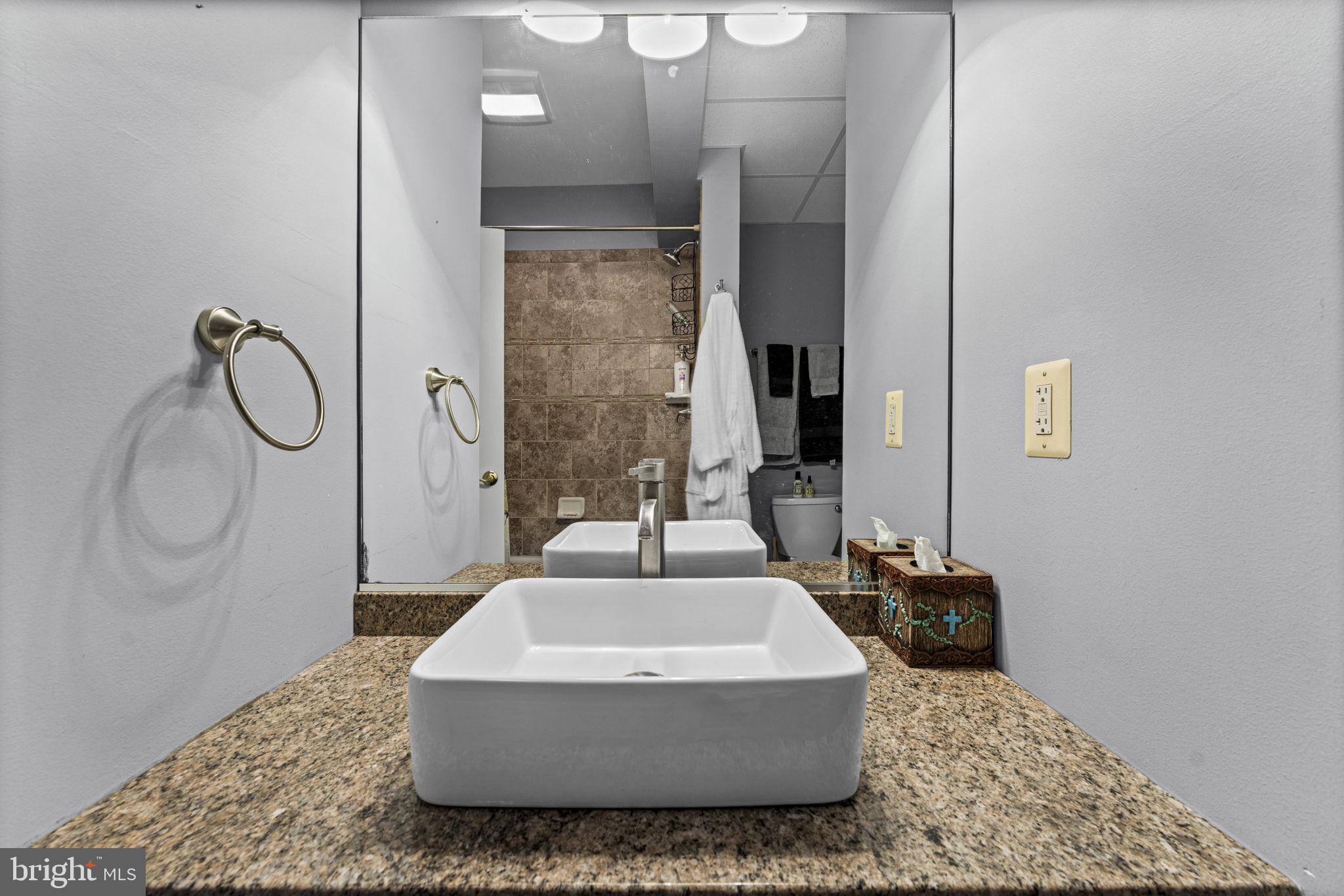 6301 Georgetown Road Broad Run, VA 20137 - Photo 69 of 101 Full Bath in Lower Level