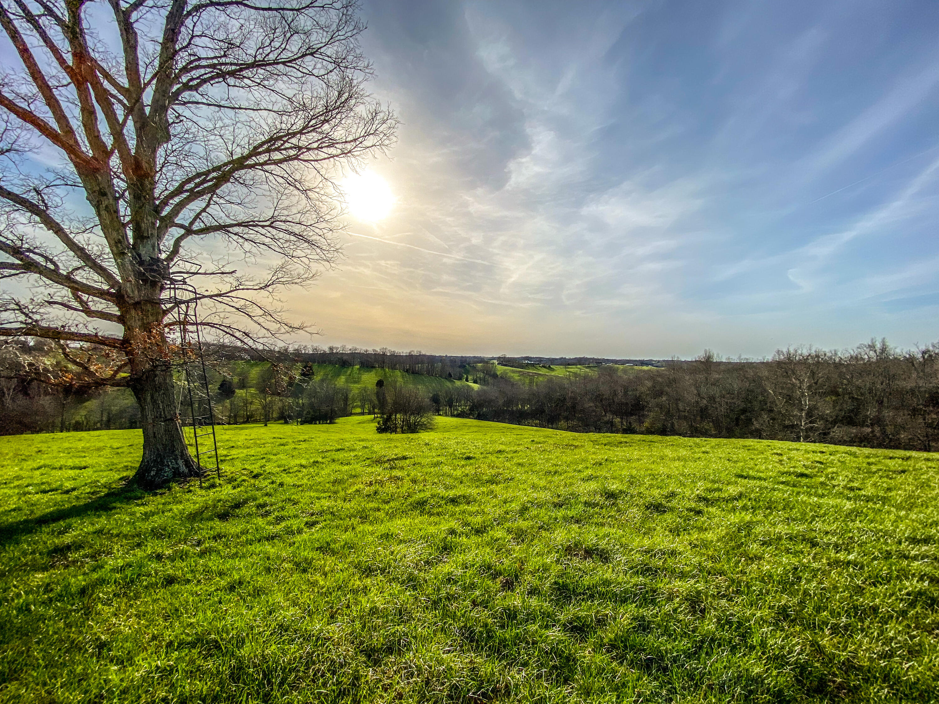 1366 Matthews Road Cynthiana, KY 41031 - Photo 5 of 20 Photo Apr 10, 6 11 33 PM
