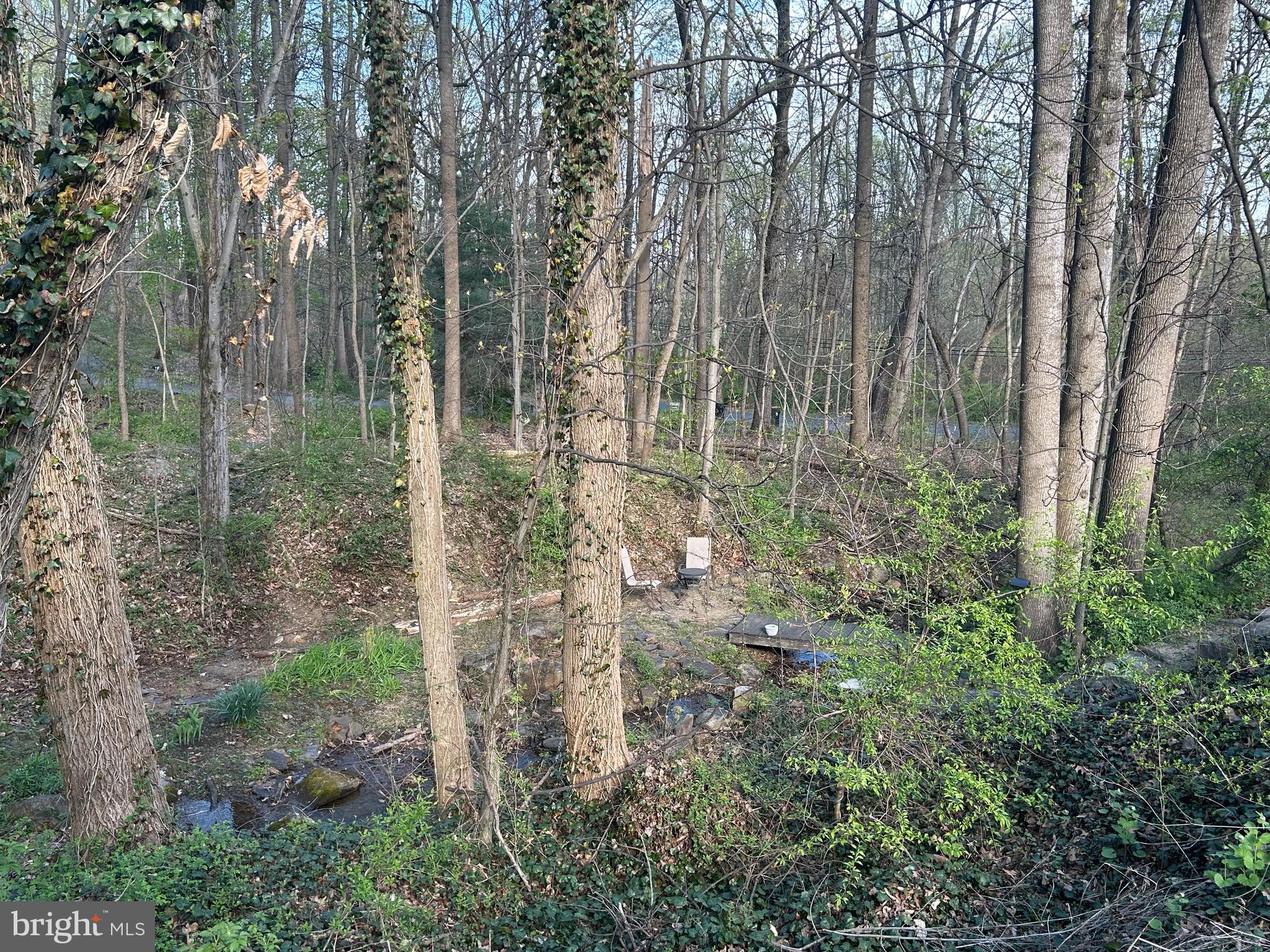 1426 Ridge Road Whiteford, MD 21160 - Photo 7 of 7 a view of a forest with trees