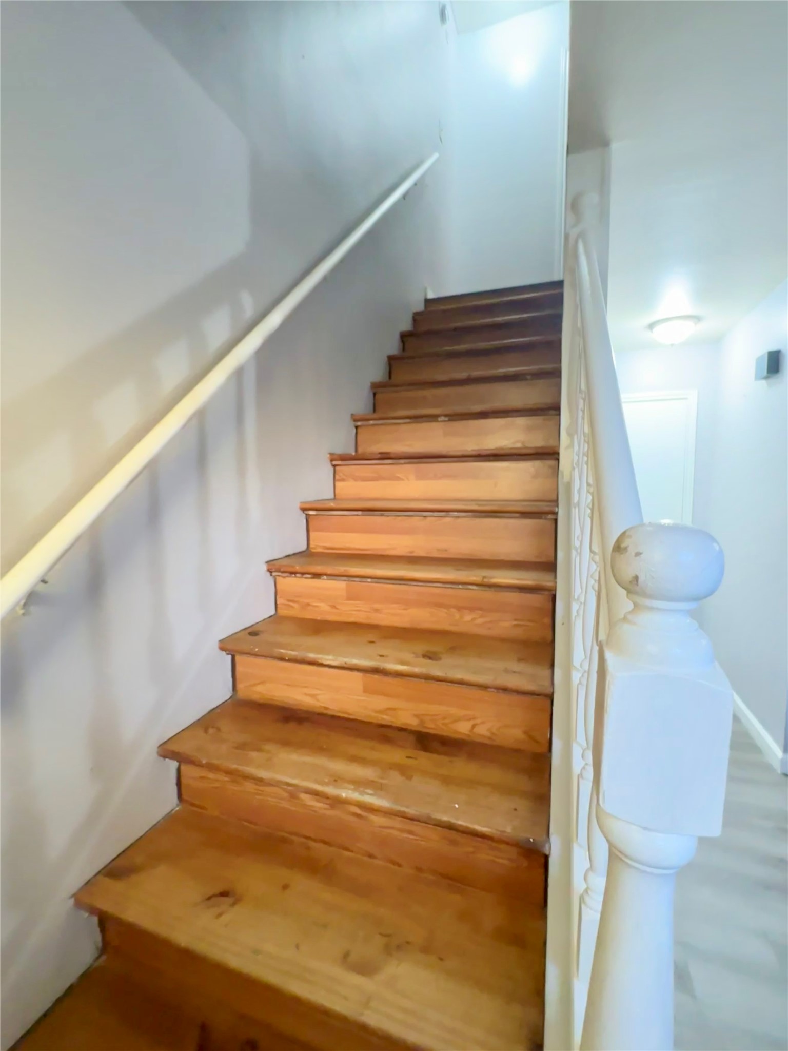 4120 Hartt Street Houston, TX 77025 - Photo 11 of 19