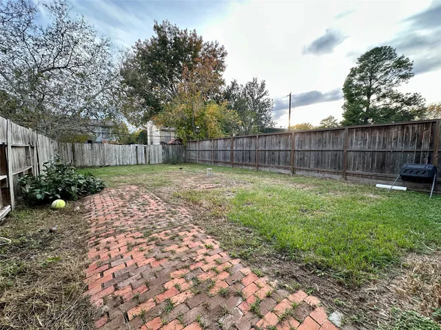a view of a backyard with a potted plant and a large tree