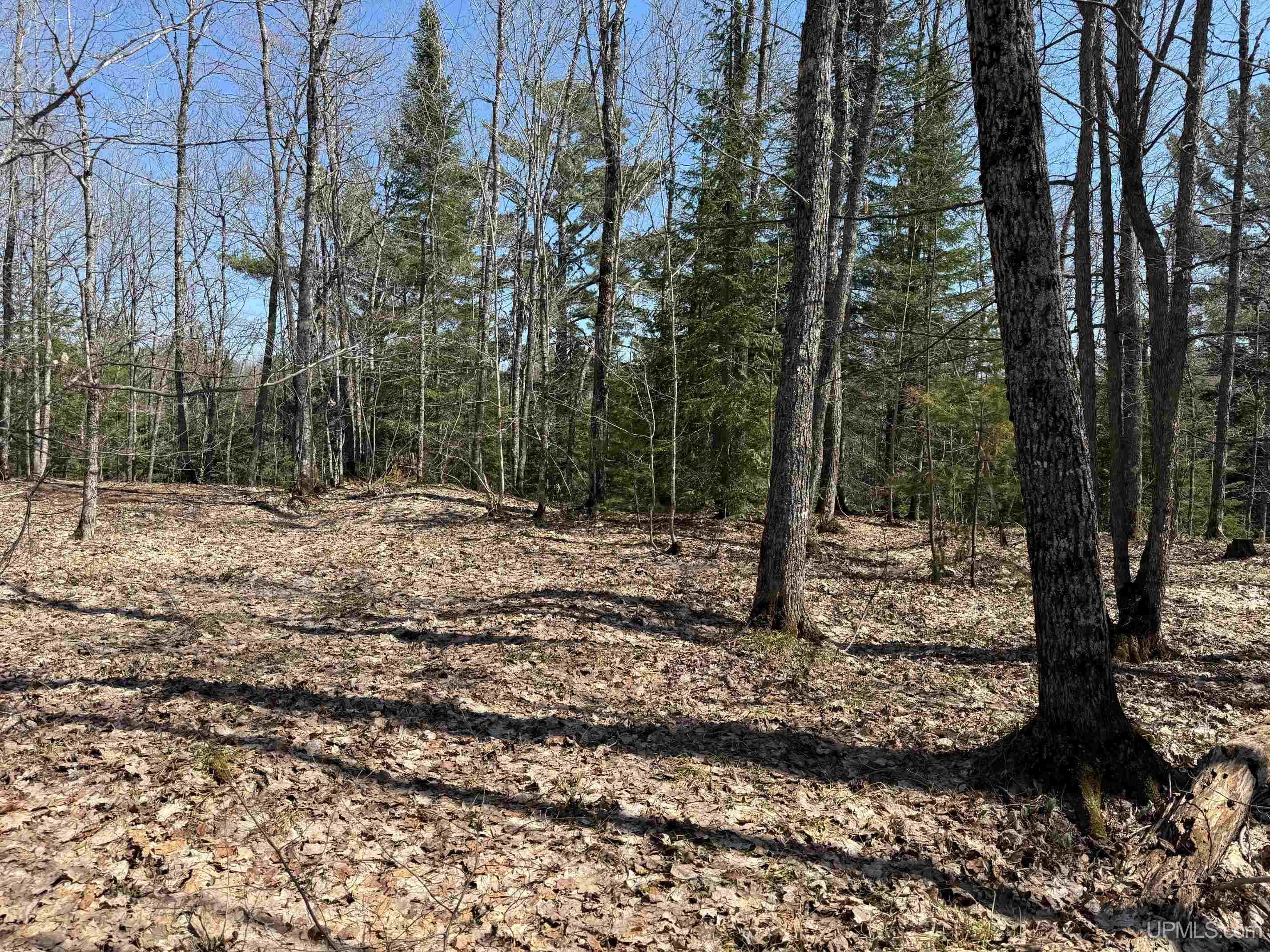 Tbdb Winona Road Toivola, MI 49965 - Photo 11 of 20