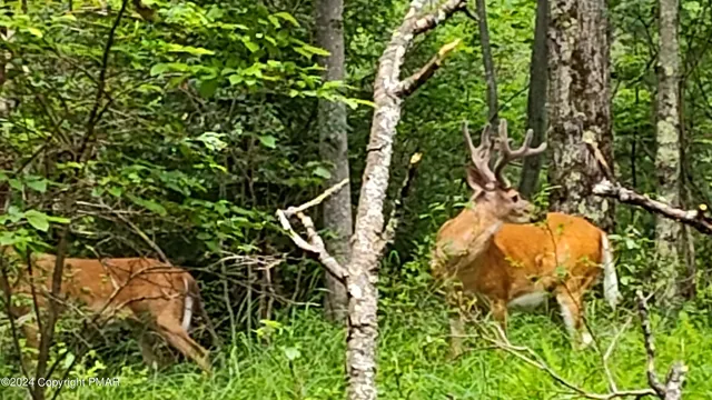 $26,500 | 22 Salem View Drive, Waymart, PA 18472