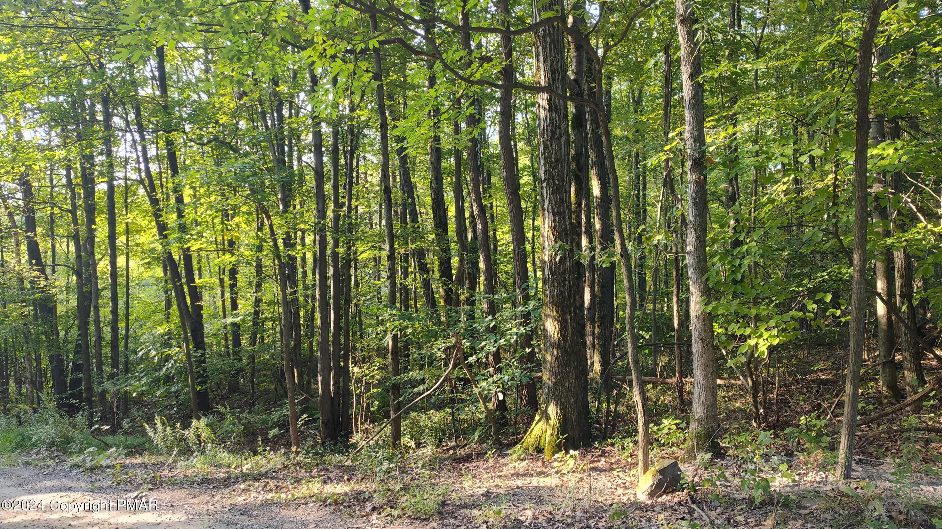 22 Salem View Drive Waymart, PA 18472 - Photo 6 of 9 IMG_20240912_083143603_HDR