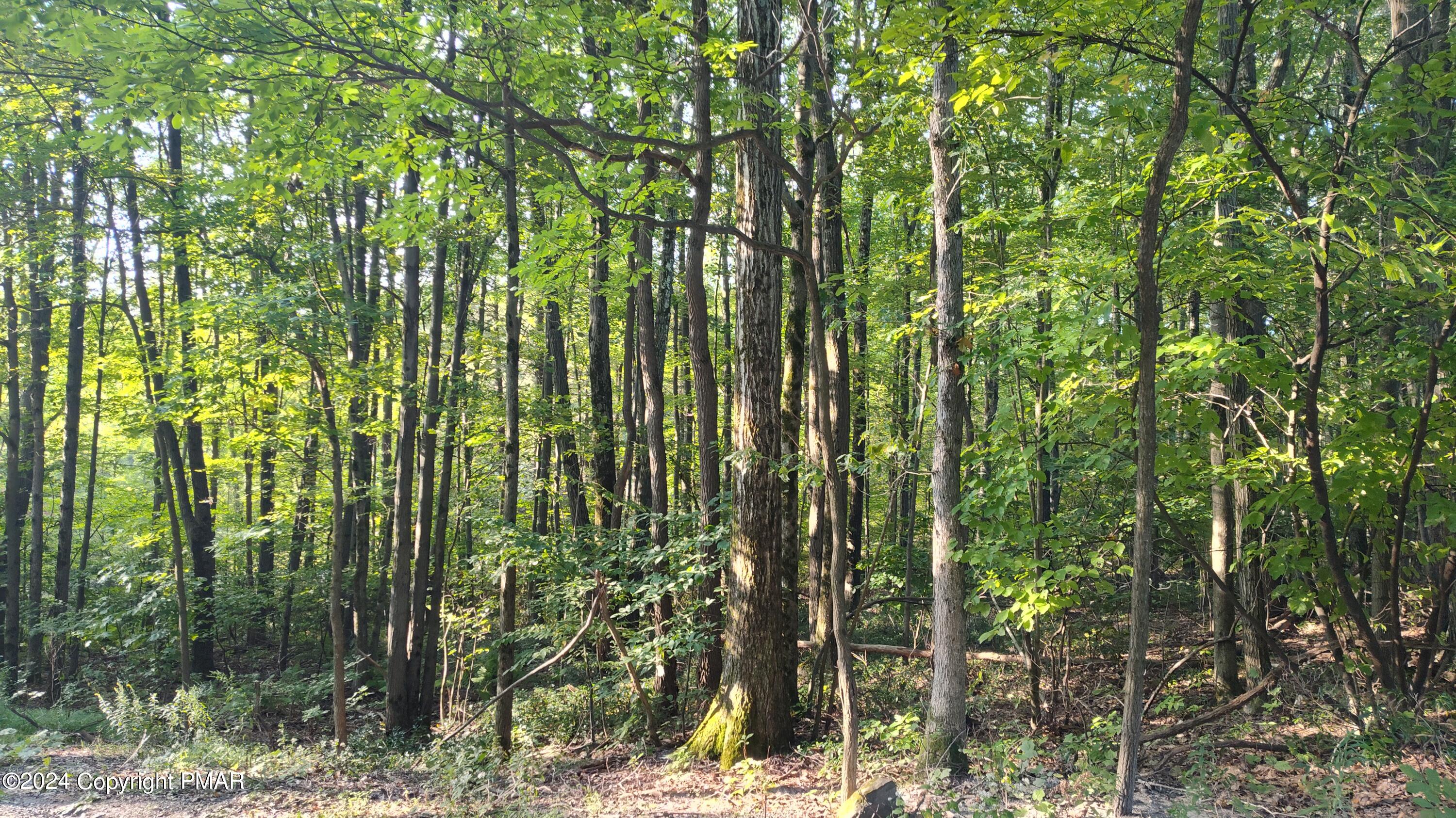 22 Salem View Drive Waymart, PA 18472 - Photo 7 of 9 IMG_20240912_083140994_HDR