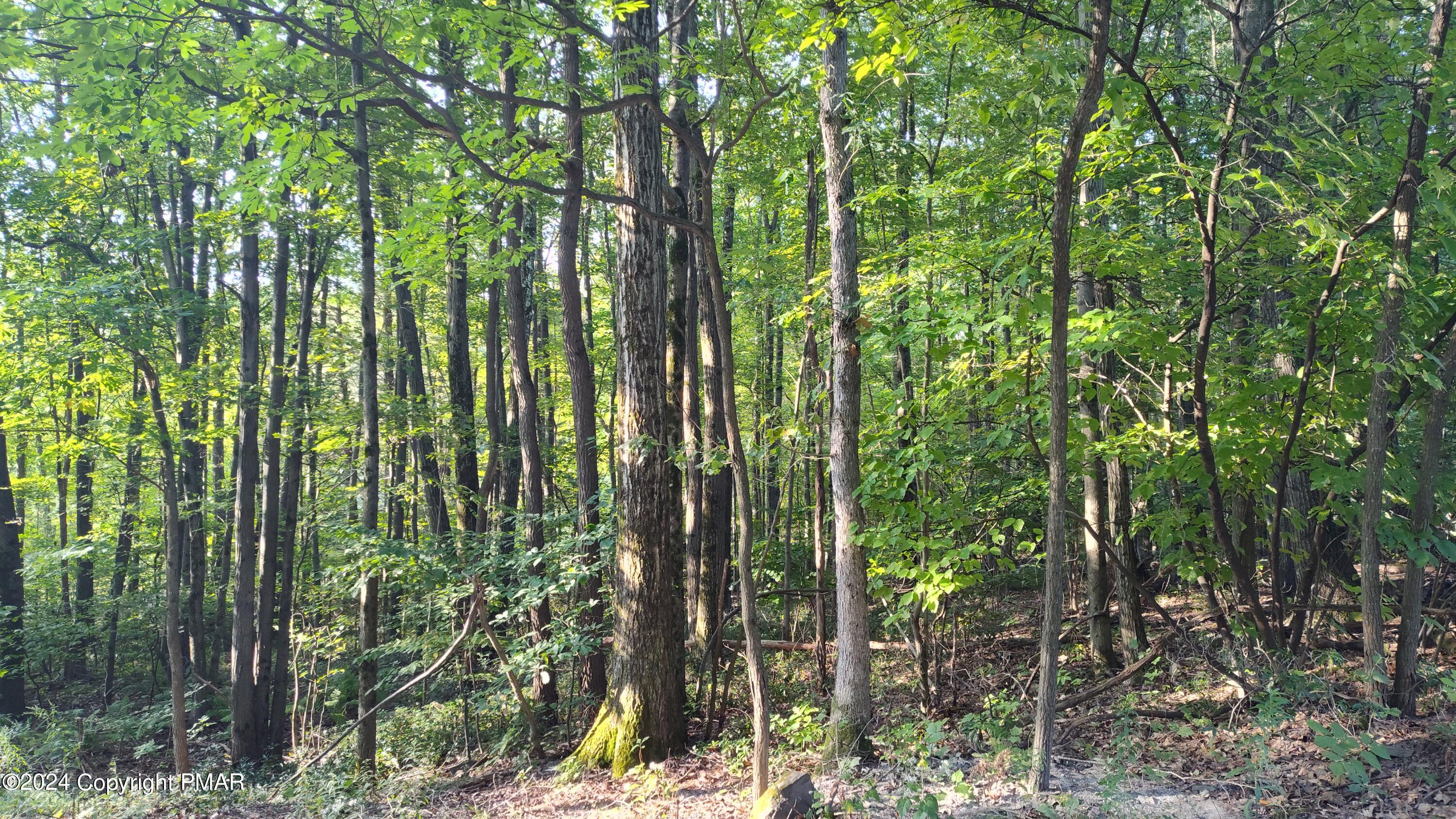 22 Salem View Drive Waymart, PA 18472 - Photo 8 of 9 IMG_20240912_083148769_HDR