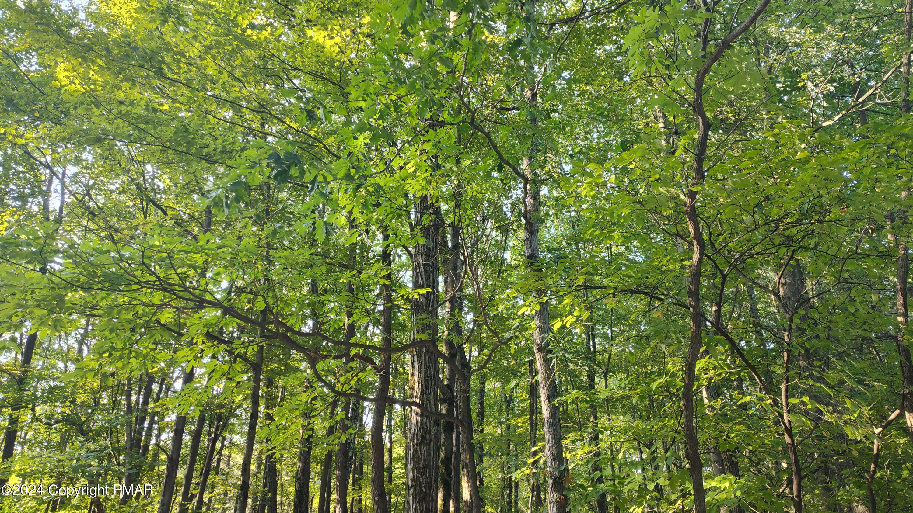 22 Salem View Drive Waymart, PA 18472 - Photo 9 of 9 IMG_20240912_083145774_HDR (1)