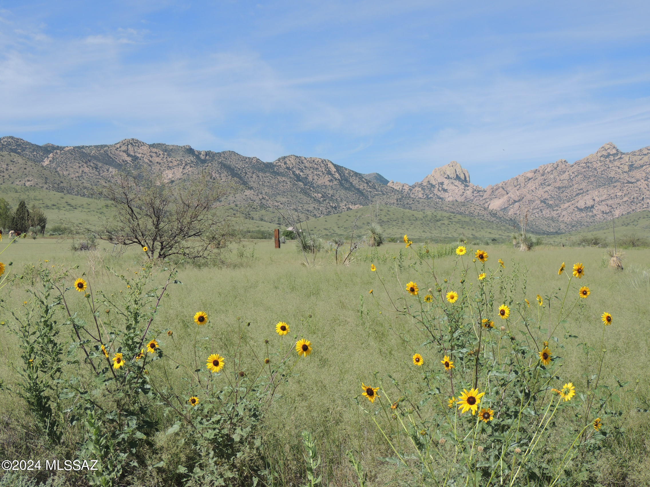 40 Ac - 1/4 M W Off Stronghold Road Cochise, AZ 85606 - Photo 10 of 17