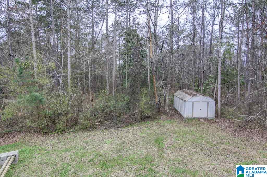 172 Mill Street Wedowee, AL 36278 - Photo 17 of 20