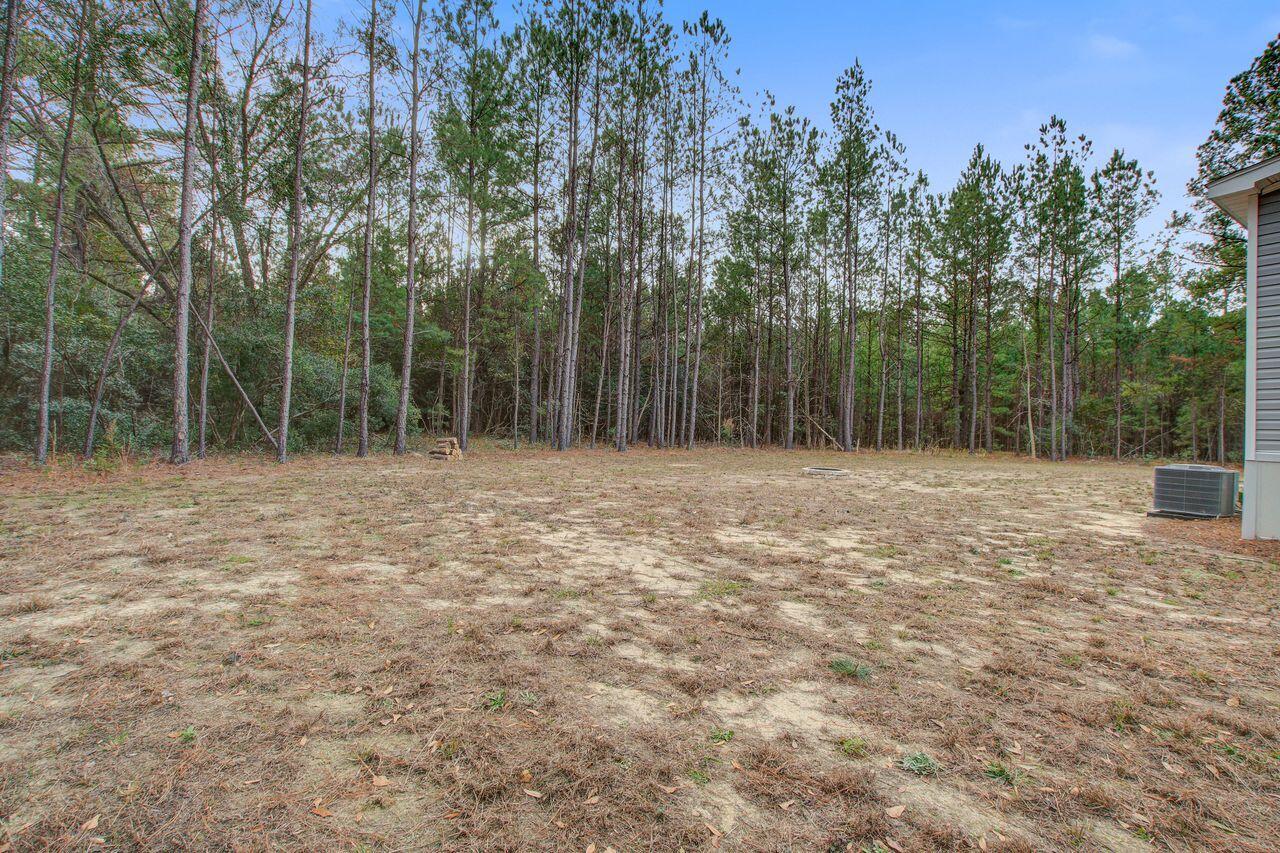 1576 Pine Grove Road Ruffin, SC 29475 - Photo 32 of 36 1576_(31)