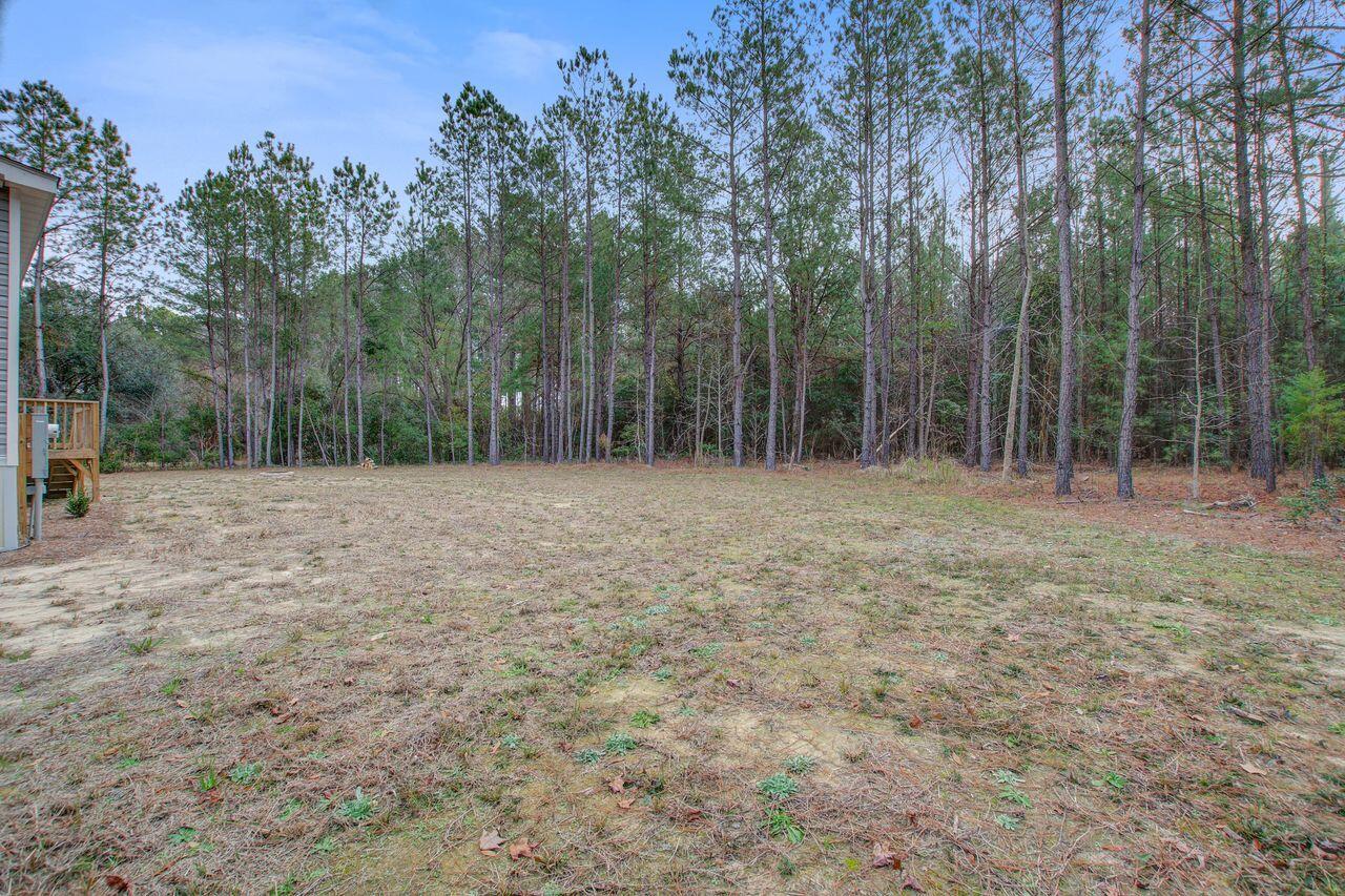 1576 Pine Grove Road Ruffin, SC 29475 - Photo 36 of 36 1576_(34)