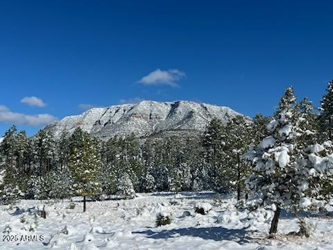 368 Brook Lane Payson, AZ 85541 - Photo 41 of 44 Mogollon Rim with snow