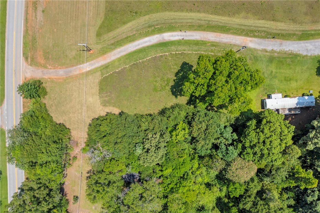 100 Newberry Road Walhalla, SC 29691 - Photo 10 of 13 Vast, verdant acreage offers privacy, mature trees, and a direct access road.