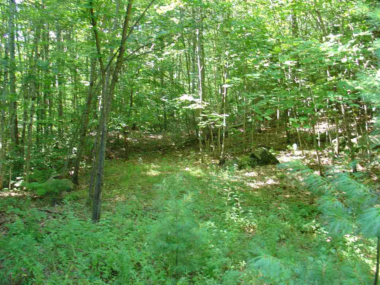 42 Brentwood Road Exeter, NH 03833 - Photo 8 of 8