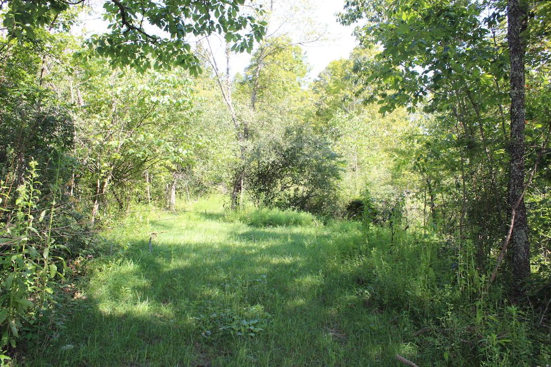 0 Bald Eagle Road Malta, OH 43758 - Photo 20 of 42