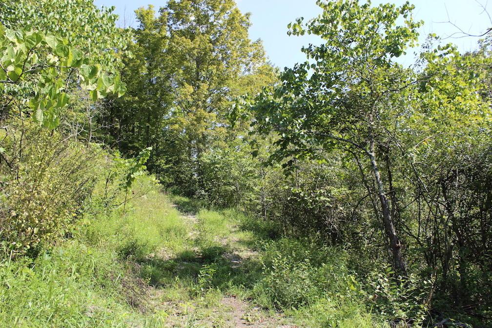 0 Bald Eagle Road Malta, OH 43758 - Photo 23 of 42