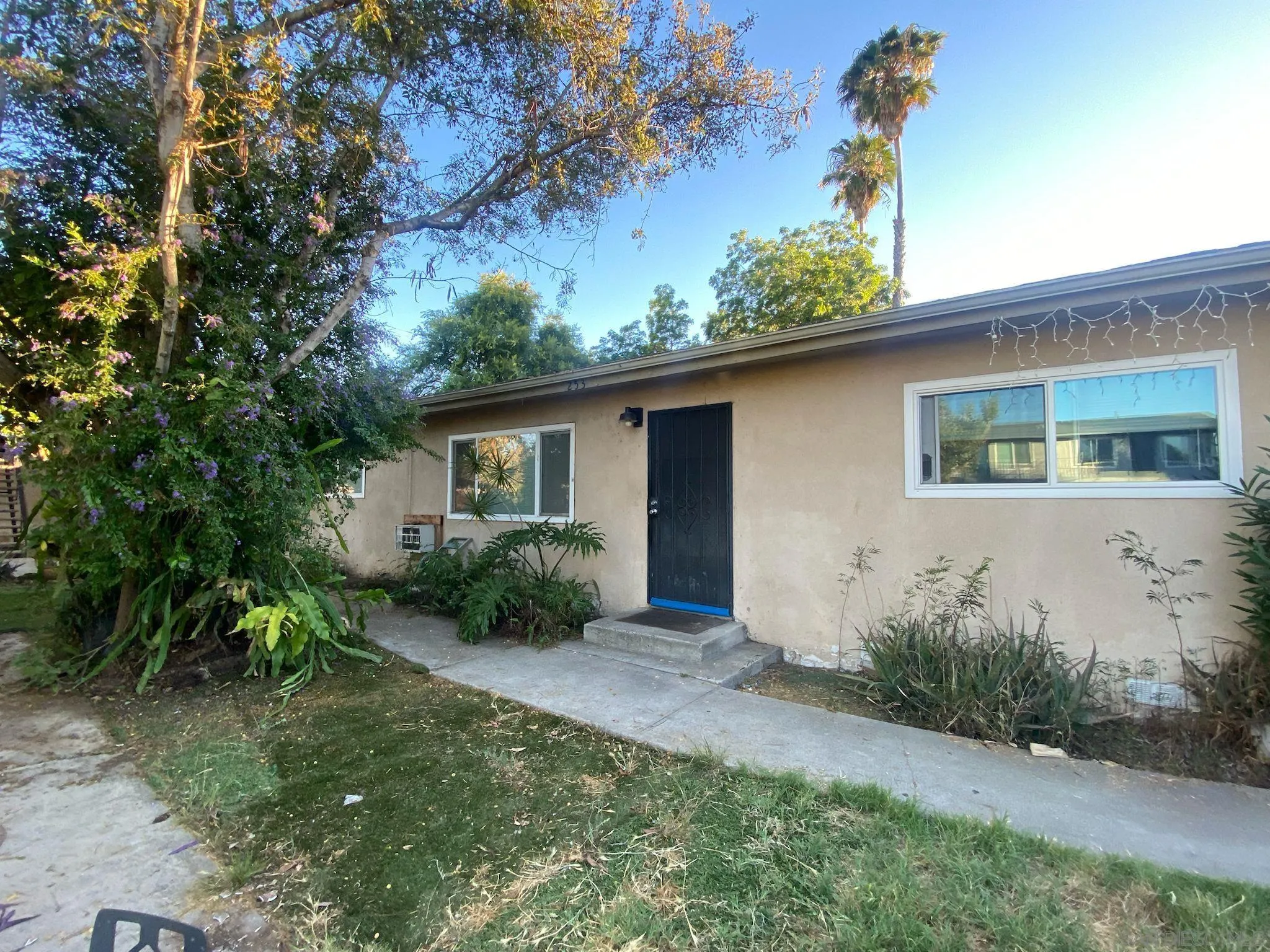 253 North Cedar Street Escondido, CA 92025 - Photo 1 of 18 a backyard of a house with plants and tree