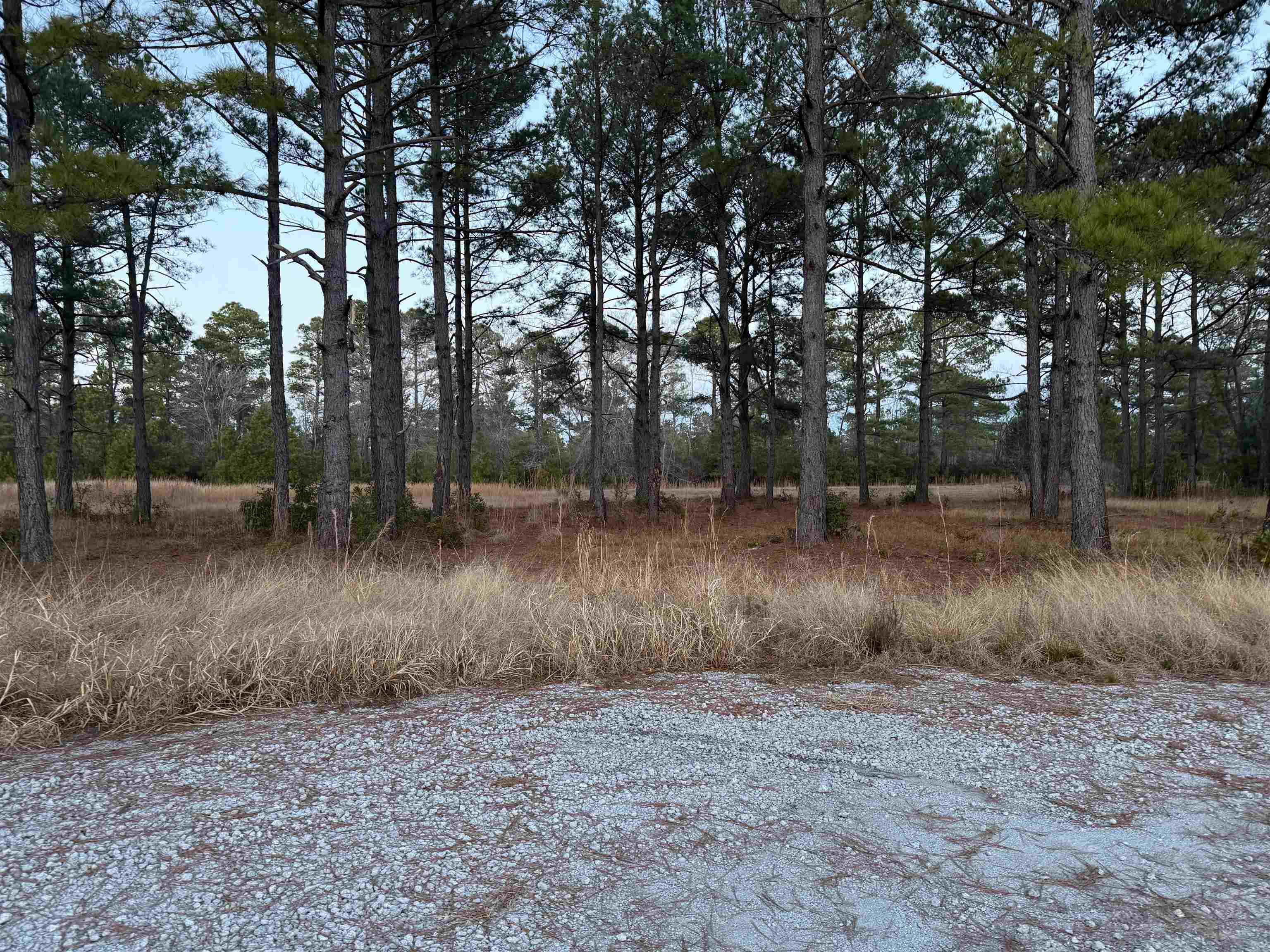 Tbd Belland Court Loris, SC 29569 - Photo 3 of 14