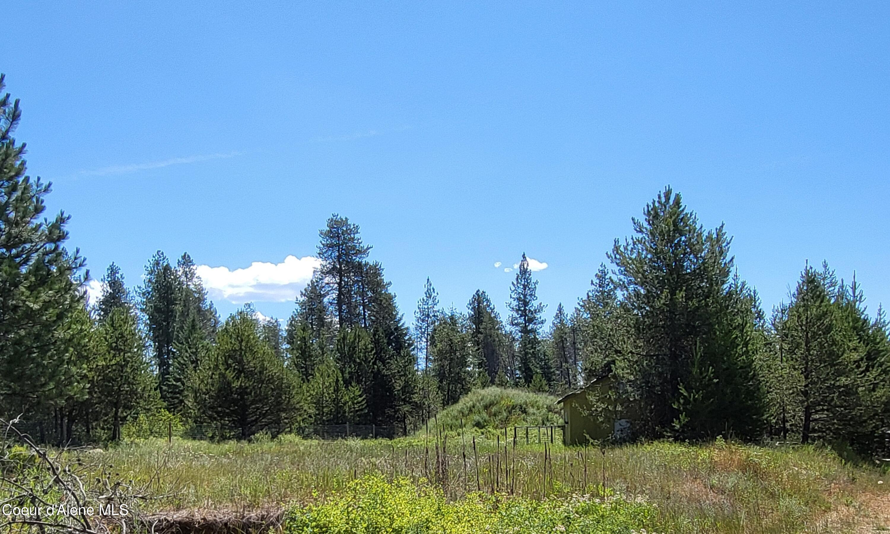 29222 1st Street Athol, ID 83801 - Photo 4 of 25 1000055128