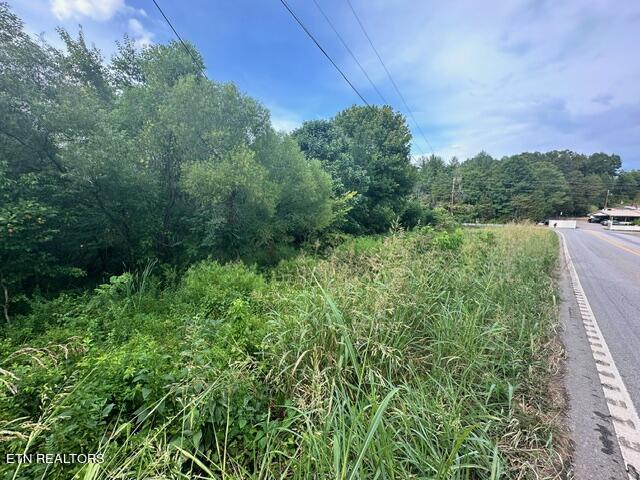 Sweetwater Vonore Road Sweetwater, TN 37874 - Photo 4 of 7 Side View